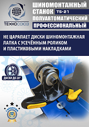 Станок шиномонтажный TS-21