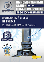 Станок шиномонтажный TS-24 